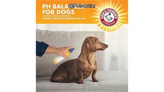Arm & Hammer Itch Relief Spray for Dogs Review: Is It Worth the Hype for Skin Relief? Arm & Hammer Itch Relief Spray for Dogs Review: Is It Worth the Hype for Skin Relief?