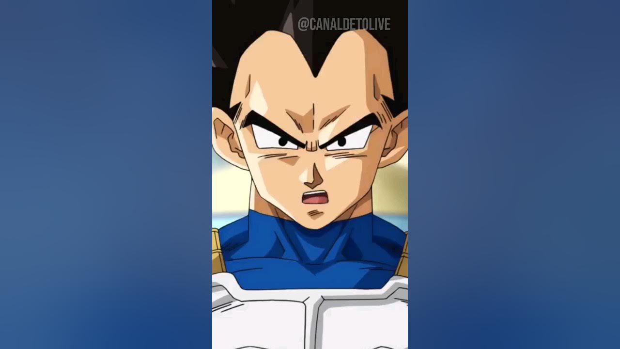 Vegeta: Tudo sobre o guerreiro de Dragon Ball Z