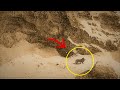 地球上で最後の1頭のバーバリライオン、絶滅する1時間前の姿!