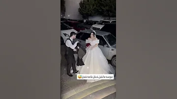 ستوريات أعراس اغاني اعراس فزت بيج 