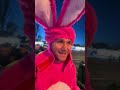 Parte2. Riuscirò ad entrare a S.Siro vestito da coniglio rosa? Verifichiamo 🐰🤙🏻 #bellagianda image