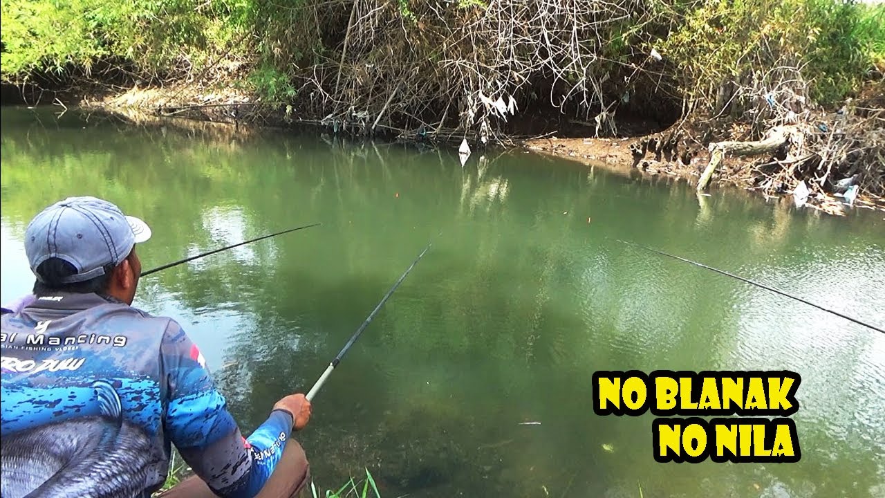 image.title Sensasi Mancing Di Tambak Air Payau: Petualangan Seru Para Pemancing