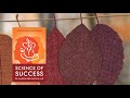 science of success