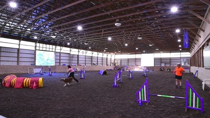 Cowboy at Judy Reilly Agility Workshop 2022