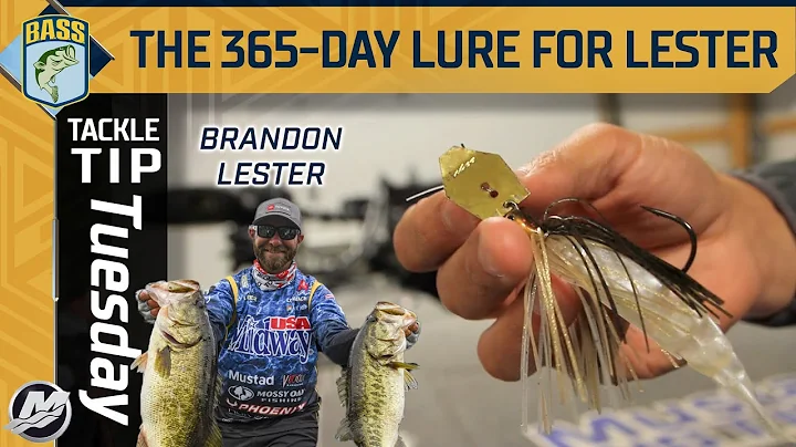 Brandon Lester's 365-day lure for bass fishing acr...