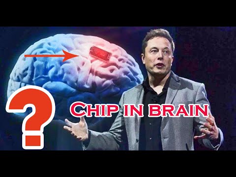 Elon musk neuralink 2020