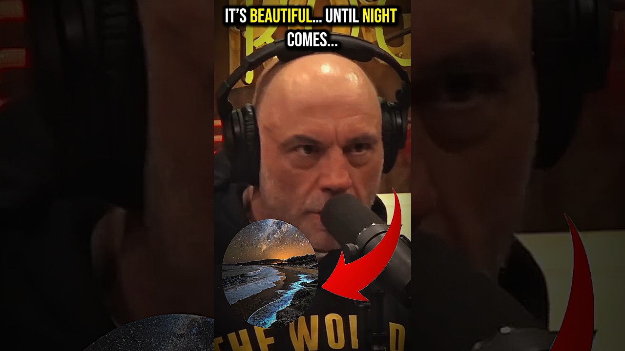 Joe Rogan Recalls The Night He Finally Understood The Ocean