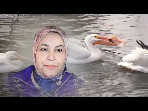 المخسور سامح فولادو وحاضي سميره وكيقلدها وشوشو ديال على قد عقلو