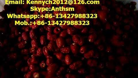 QH-300 DATES PITTING MACHINE, Dried dates coring machine