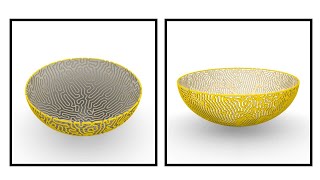 10- Differential Growth Bowl