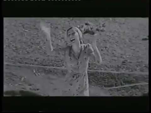 კ/ფ სოფლის აშიკი, რა გევიგონეე