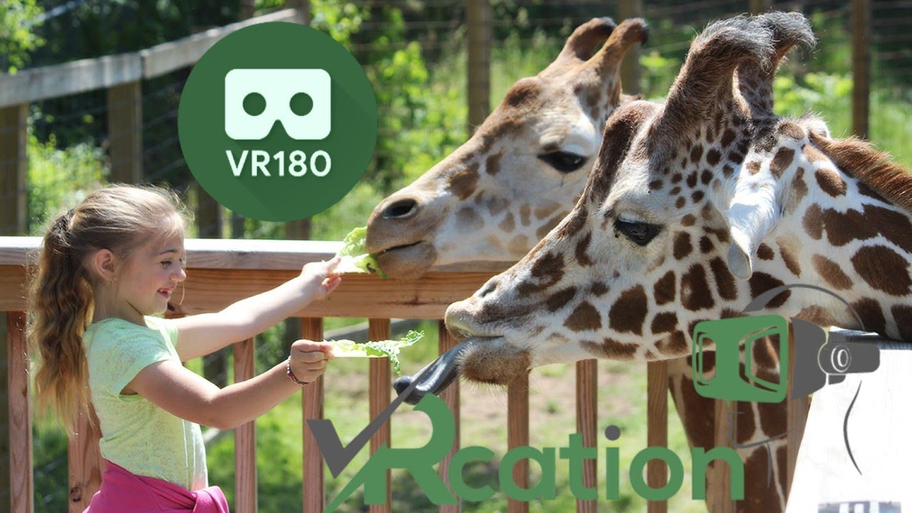 Виртуальный зоопарк видео. Виртуальный зоопарк. Виртуальный зоопарк html. Tim liked going to the zoo one