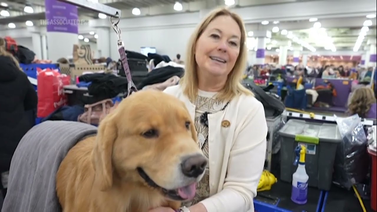 Westminster dog names are long, complex, and packed with meaning