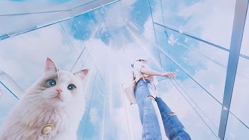 inZOI | Intro / Opening - 60fps