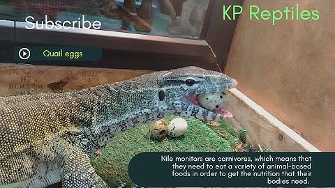 NILE monitor handling tips and tricks.‼️💯