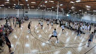 Spring + Showcase Highlights