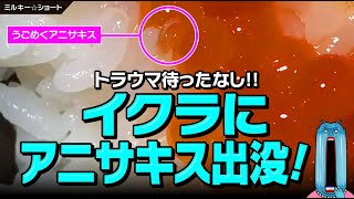 【閲覧注意】イクラの醤油漬けからアニサキス出没！トラウマ級！ #shorts