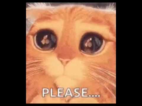 Subs