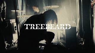 Treebeard - The Ratcatcher (Official Music Video)