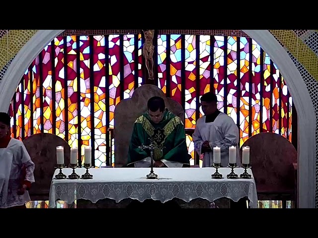 Santa Missa  | 32º Domingo do Tempo Comum