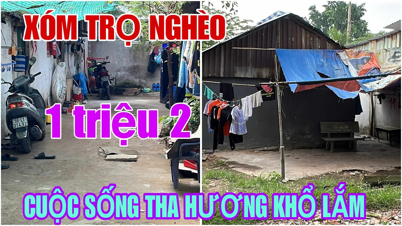 Tập 3012 XÓM TRỌ NGHÈO 1 TRIỆU 2 CUỘC SỐNG THA HƯƠNG KHỔ LẮM