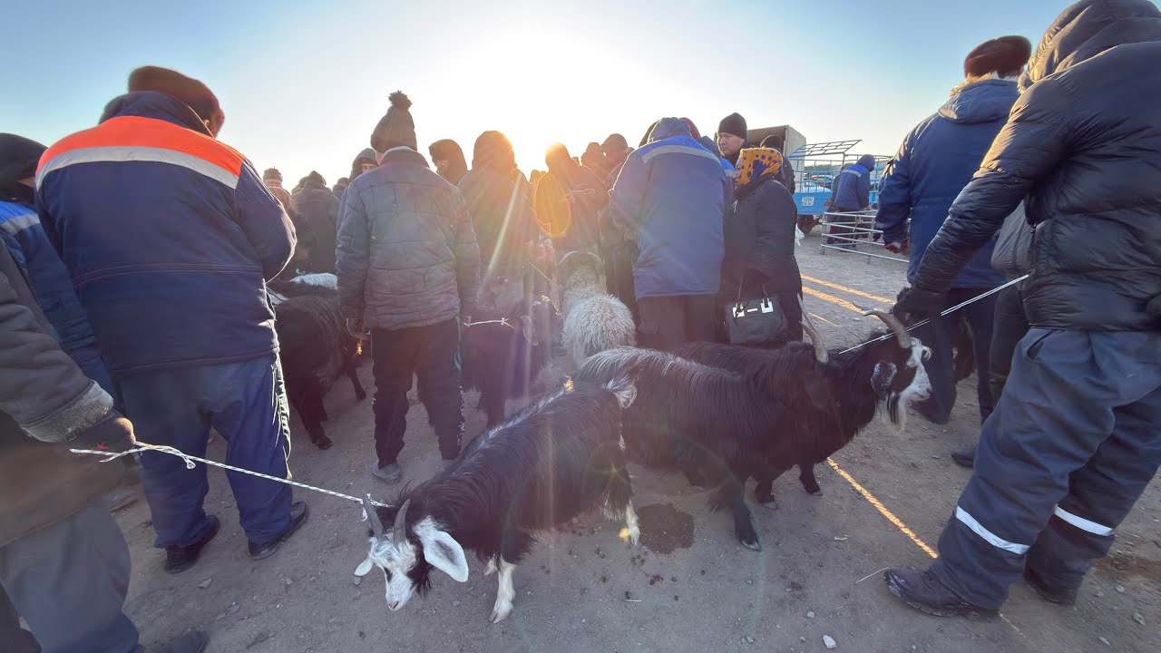 БЕРУНИЙ АБАЙ КУЙ БОЗОРИ 11 МАРТ 2026