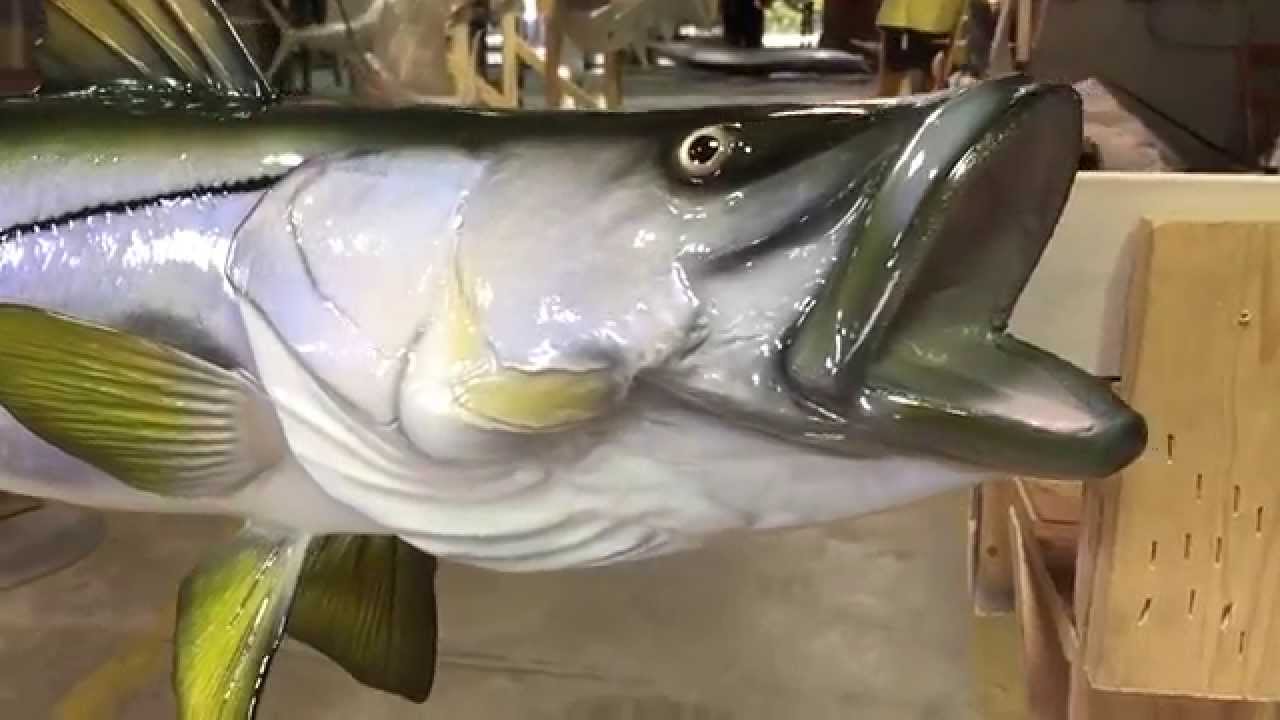 Snook Fishmount - Gray Taxidermy Fishmounts, Custom fish reproductions ...
