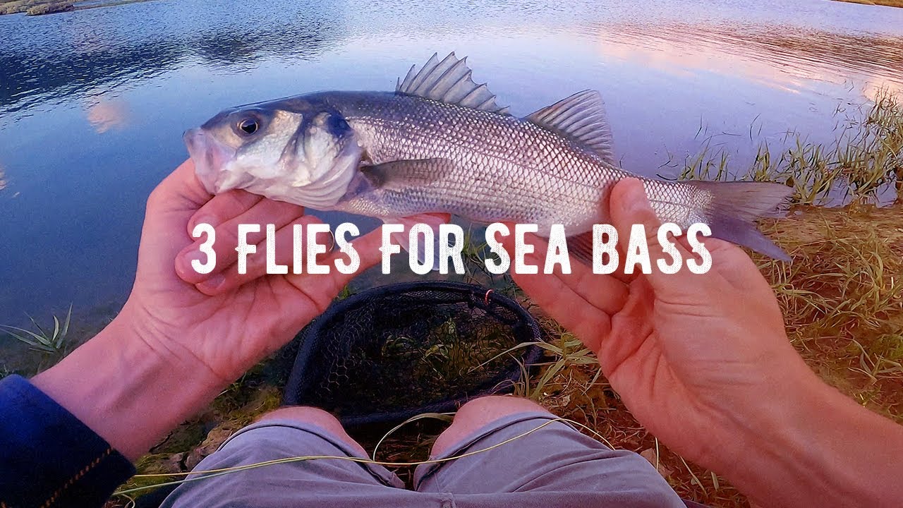 Saltwater Fly Fishing UK, 3 Beginner Flies For Sea Bass