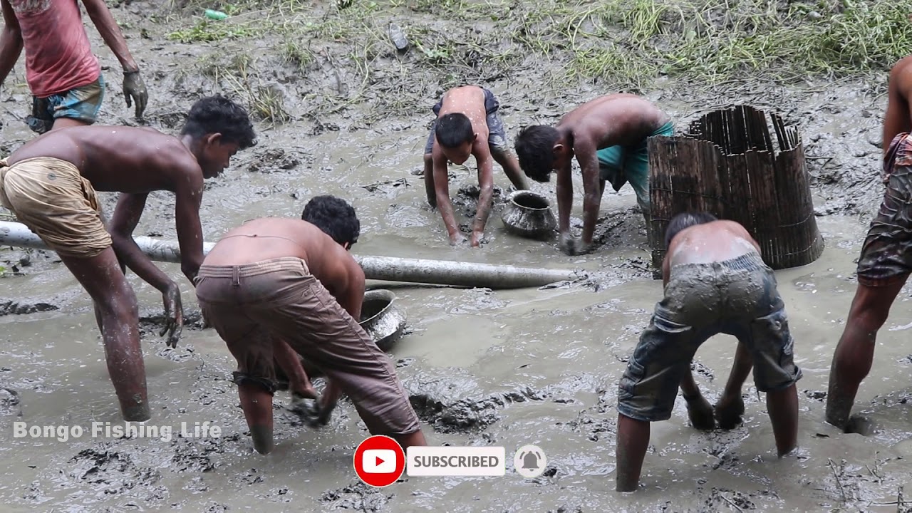 Best Hand Fishing Video By Village Boys || Big Fish Hunting || Kids