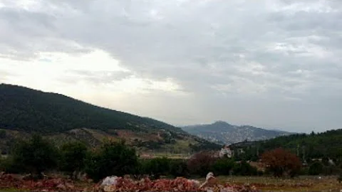 اغنية عجلون ياقطعة مني مع صور نادرة ل محافظة عجلون تحميل Download Mp4 Mp3