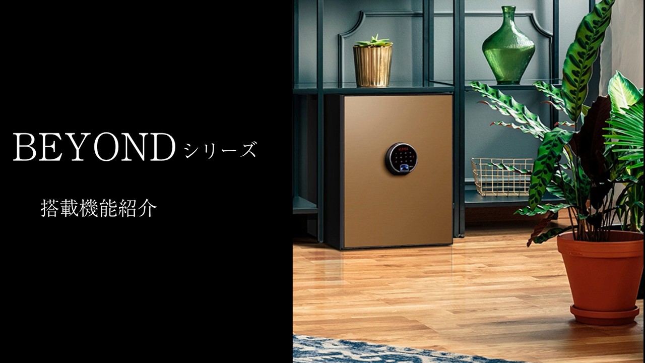 キャンペーン】ディプロマット 耐火金庫 BEYOND 指紋認証 (チタニウム