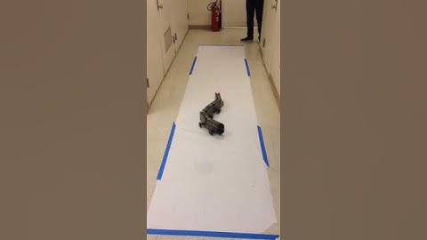 Snake Robot "Kaa" Locomotion