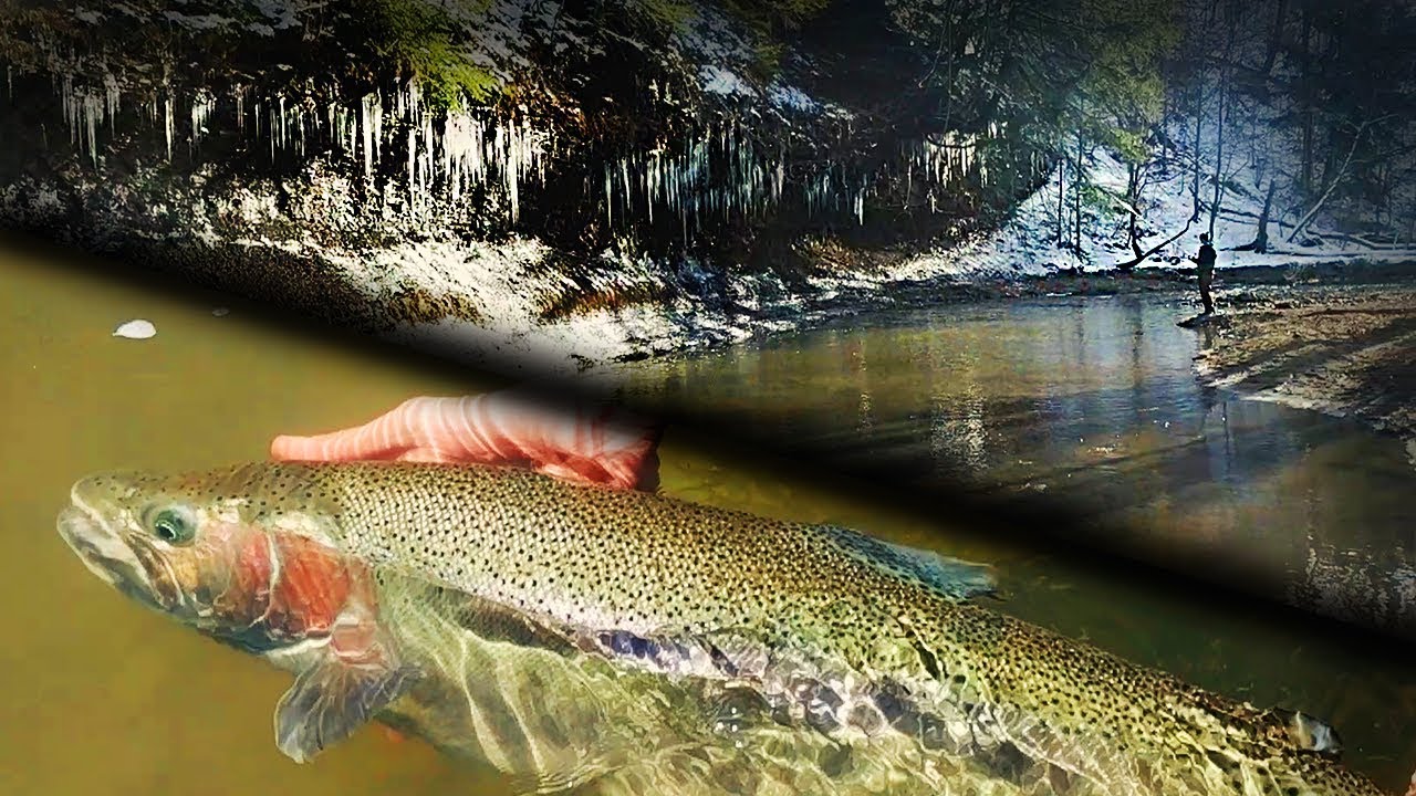Finding Spring Steelhead Trout in TINY Creeks! Fly Fishing & Centerpin