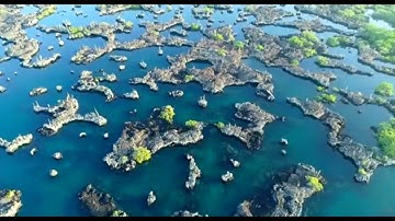 IUCN Red List of Ecosystems: From Idea to Impact