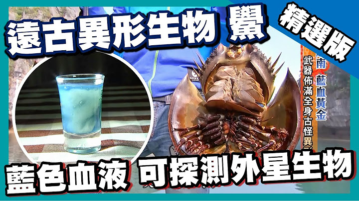 【越南】4亿年活化石「鲎」 抽取超珍贵蓝色血液 ｜《世界第一等》633集精华版 - 天天要闻