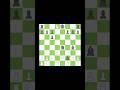 Alight Motion Day 2 Part 2: Stafford Gambit