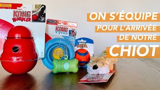 PUPPY SUPPLIES HAUL | Everything We Bought For Our Shiba Inu (French) by Ellie & Riley 1,894 views 2 years ago 8 minutes, 5 seconds