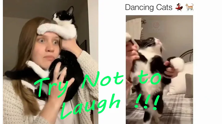Watch the video about Best Cats Funny Video #9 You Won't Stop Laughing - [Special ENDING clip 3