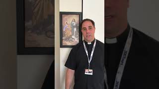 Fr. Calloway Says 'Go on a Pilgrimage Every Day by Praying the Rosary' by 206 Tours 1,238 views 3 years ago 2 minutes, 21 seconds