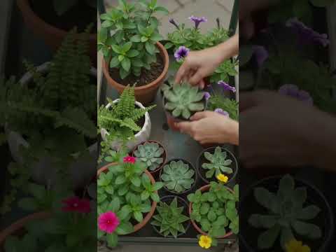 5 Turn old and unused items into beautiful garden ideas #shorts