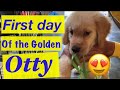 First day of the golden otty  finally arrived at daddy home  ep 1