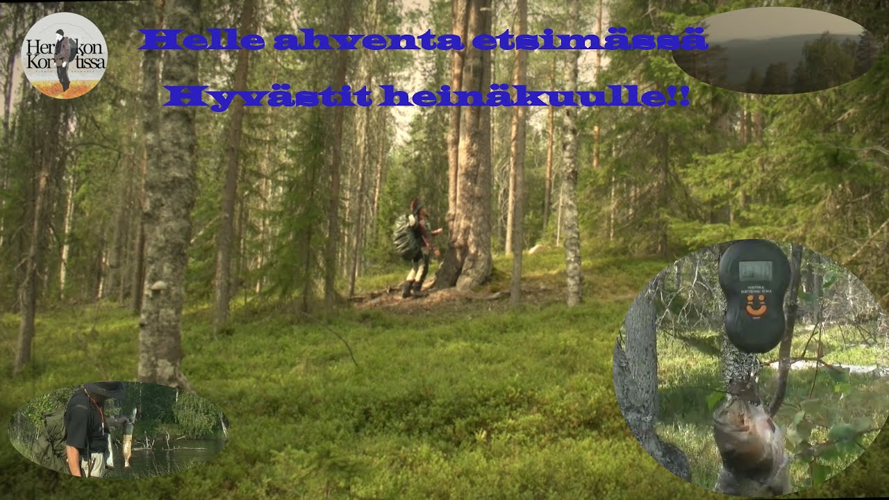 Helleahventa etsimässä.  Hyvästit heinäkuulle