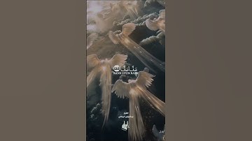 كلا إذا دكت الأرض دكا دكا #تلاوةمختارةسورةالفجر القارئ عبدالمؤمن البركاني