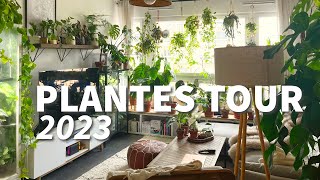 🌿 PLANTES TOUR 2023 🌿 +100 plantes dans 55m2 !