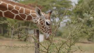 Activities at Vipingo Ridge