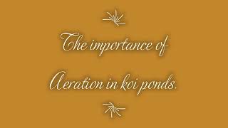 Aeration in Koi Ponds