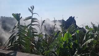 Lava is advancing on banana plantations! Cumbre Vieja volcano!