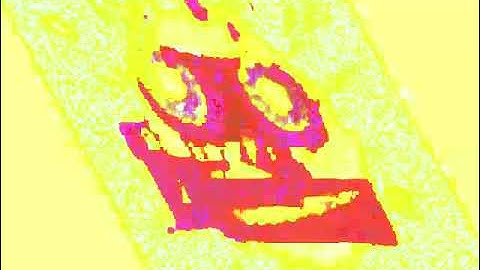 Klasky Csupo Paramount Ailght Motion VideoStudio Deluxe 1.0 Effects in 4ormulator v14