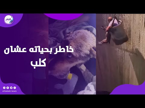 أجر ونش ونزل في برميل بطل حلوان قعد ٦ ساعات عشان ينقذ كلب من بير صرف
