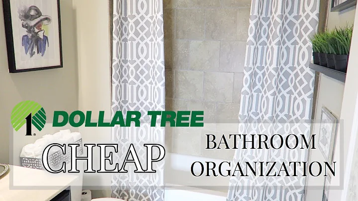 LUXE ON A BUDGET | DOLLAR TREE BATHROOM ORGANIZATION | ORGANIZE WITH ME